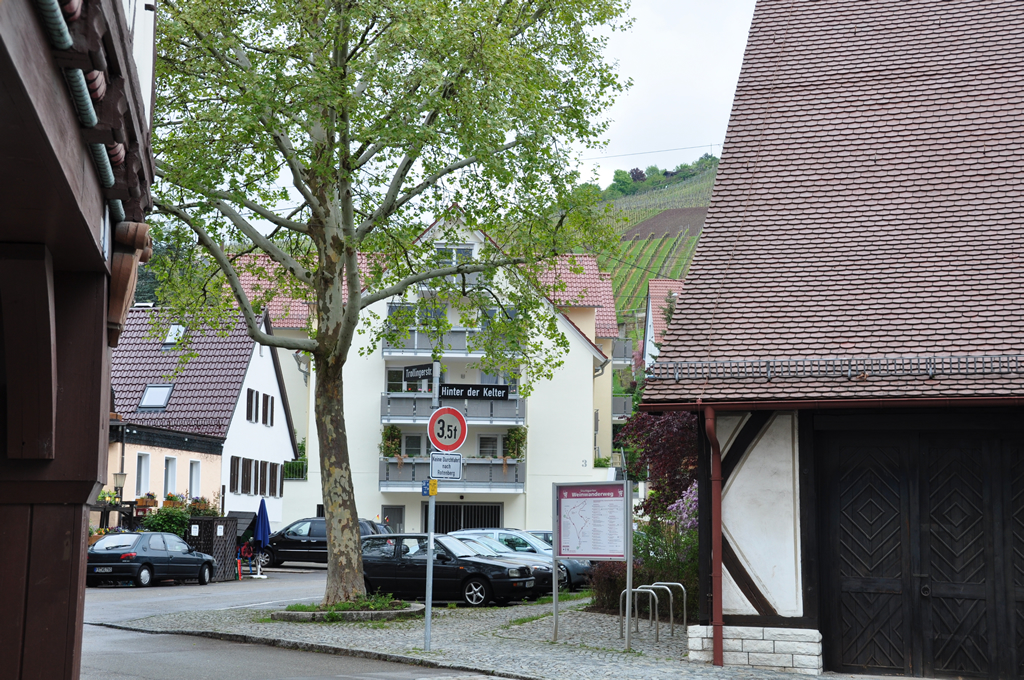 Bild 8: 6-Familien-Wohnhaus